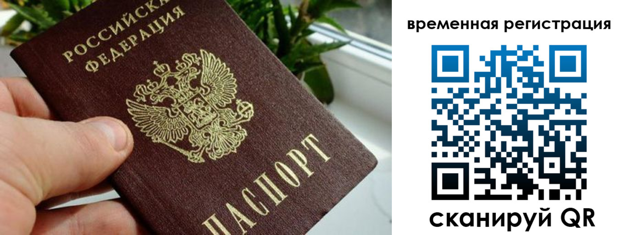 прописка поиск в Наволоках